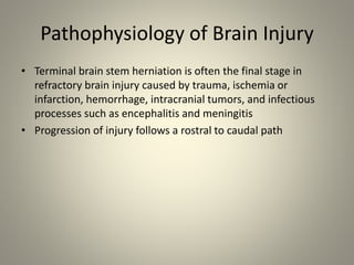 Pathophysiology of Brain Injury
• Terminal brain stem herniation is often the final stage in
refractory brain injury caused by trauma, ischemia or
infarction, hemorrhage, intracranial tumors, and infectious
processes such as encephalitis and meningitis
• Progression of injury follows a rostral to caudal path
 