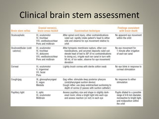Clinical brain stem assessment
 