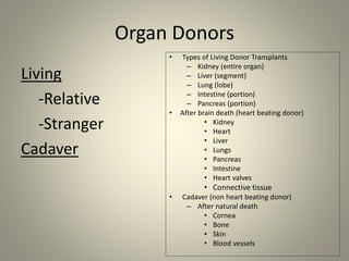Organ Donors
Living
-Relative
-Stranger
Cadaver
• Types of Living Donor Transplants
– Kidney (entire organ)
– Liver (segment)
– Lung (lobe)
– Intestine (portion)
– Pancreas (portion)
• After brain death (heart beating donor)
• Kidney
• Heart
• Liver
• Lungs
• Pancreas
• Intestine
• Heart valves
• Connective tissue
• Cadaver (non heart beating donor)
– After natural death
• Cornea
• Bone
• Skin
• Blood vessels
 
