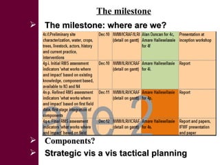 Initial rainwater management strategies assessment: A system diagnosis to improve LWP