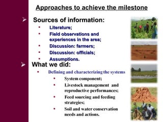 Initial rainwater management strategies assessment: A system diagnosis to improve LWP