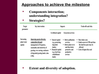 Initial rainwater management strategies assessment: A system diagnosis to improve LWP