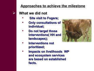 Initial rainwater management strategies assessment: A system diagnosis to improve LWP