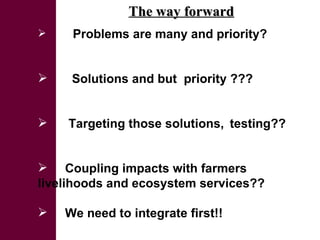 Initial rainwater management strategies assessment: A system diagnosis to improve LWP