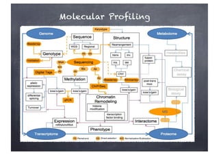 Molecular Profiling
 