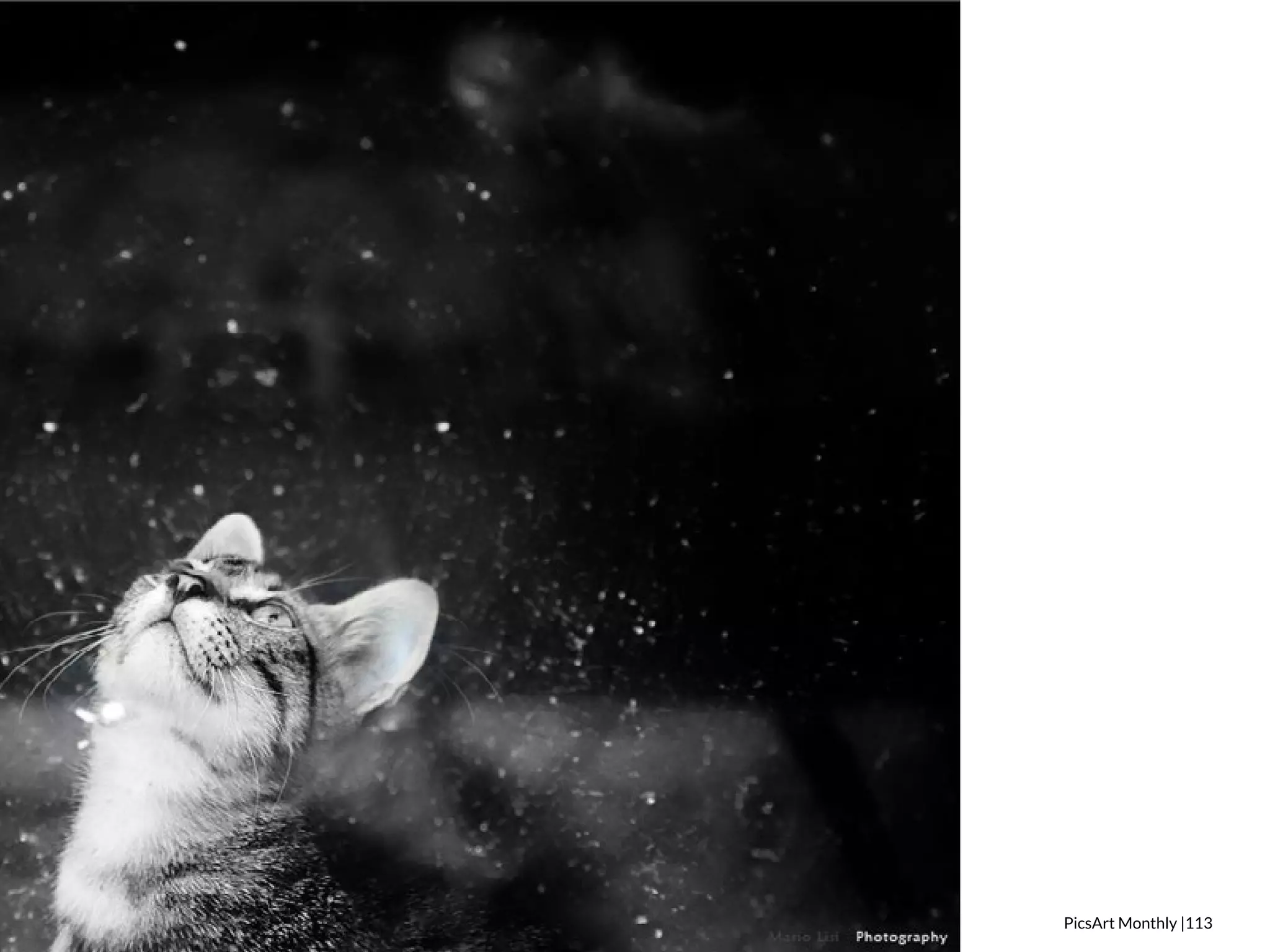 PicsArt Monthly |113 
 