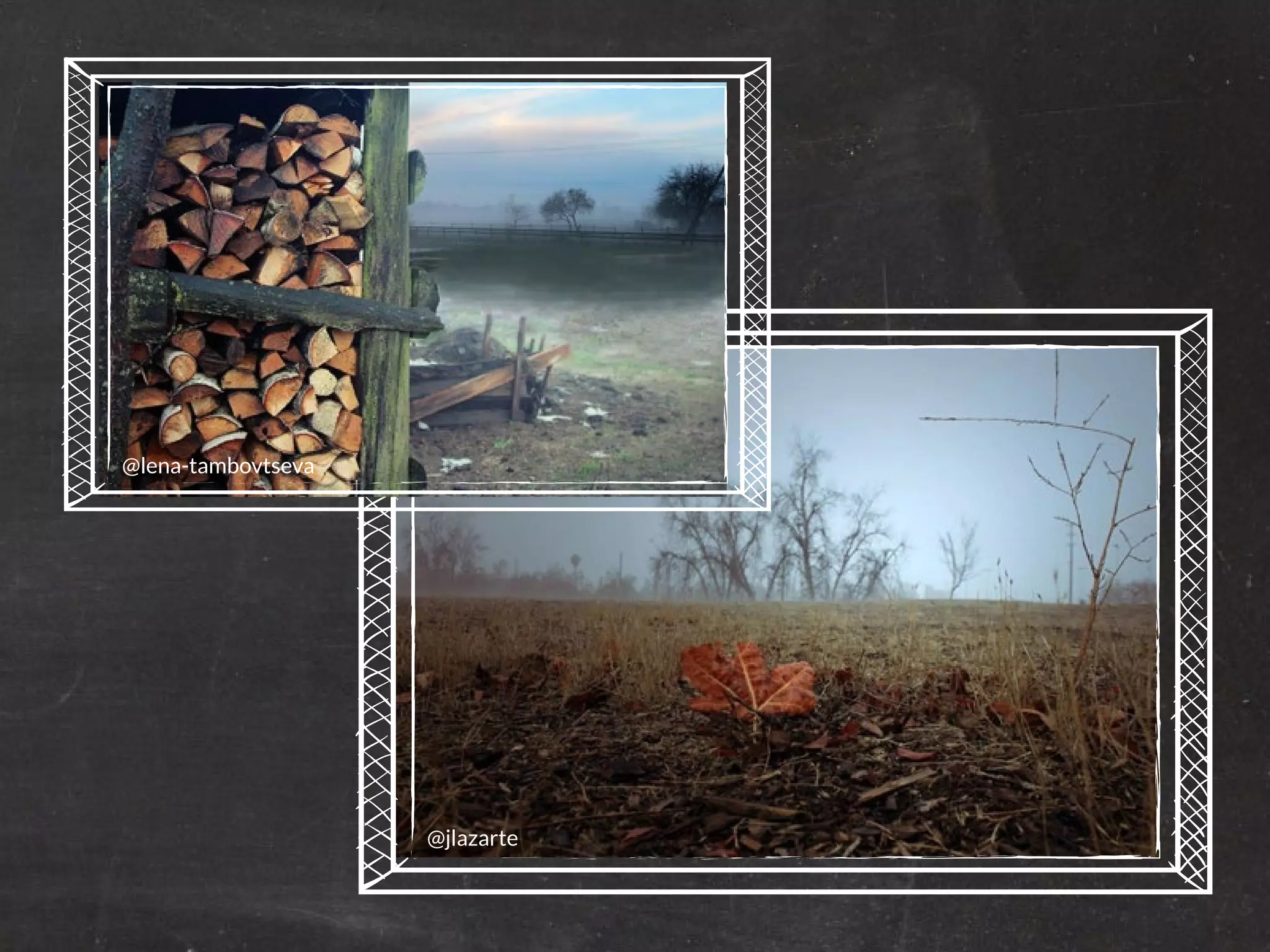 PicsArt Monthly |19 
@lena-tambovtseva 
@jlazarte 
 