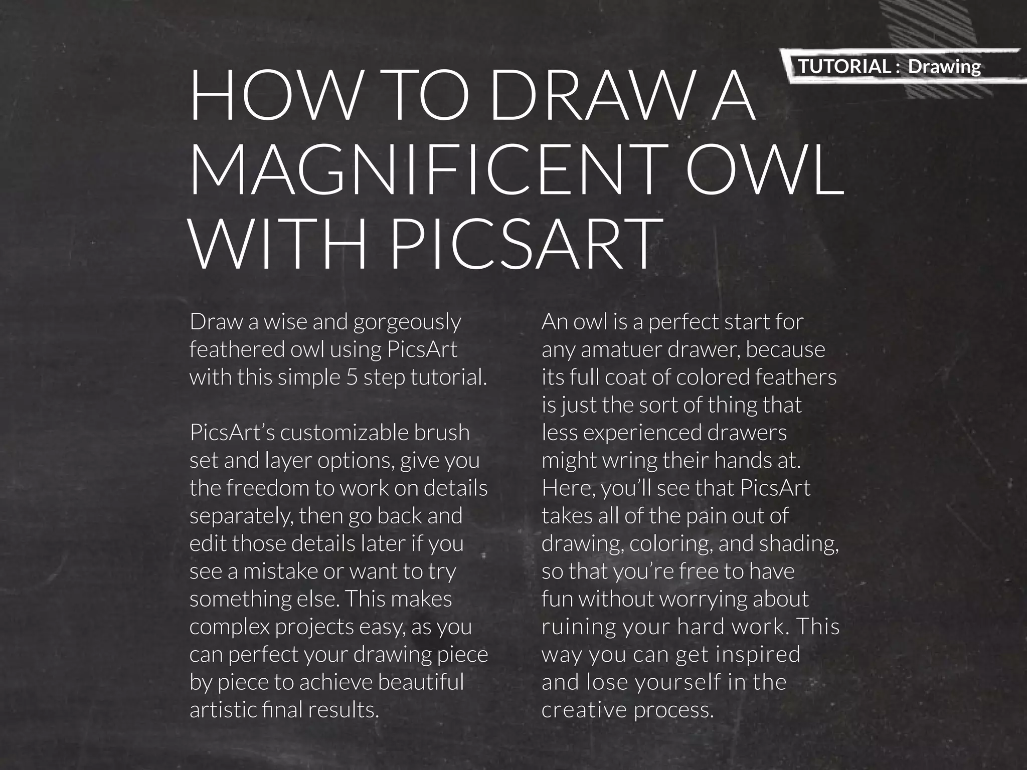 TUTORIAL : Drawing 
PicsArt Monthly |39 
HOW TO DRAW A 
MAGNIFICENT OWL 
WITH PICSART 
Draw a wise and gorgeously 
feathered owl using PicsArt 
with this simple 5 step tutorial. 
PicsArt’s customizable brush 
set and layer options, give you 
the freedom to work on details 
separately, then go back and 
edit those details later if you 
see a mistake or want to try 
something else. This makes 
complex projects easy, as you 
can perfect your drawing piece 
by piece to achieve beautiful 
artistic final results. 
An owl is a perfect start for 
any amatuer drawer, because 
its full coat of colored feathers 
is just the sort of thing that 
less experienced drawers 
might wring their hands at. 
Here, you’ll see that PicsArt 
takes all of the pain out of 
drawing, coloring, and shading, 
so that you’re free to have 
fun without worrying about 
ruining your hard work. This 
way you can get inspired 
and lose yourself in the 
creative process. 
 