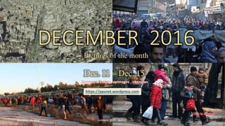 DECEMBER 2016
Pictures of the month
Dec.11 – Dec. 15
vinhbinh2010
DECEMBER 2016
Pictures of the month
Dec. 11 – Dec. 15
Sources : reuters, apimages , nbcnews
https://ppsnet.wordpress.com
December 20, 2016 vinhbinh 2010 , lantran 1
 