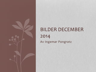 BILDER 
DECEMBER 
2014 
Av 
Ingemar 
Pongratz 
 