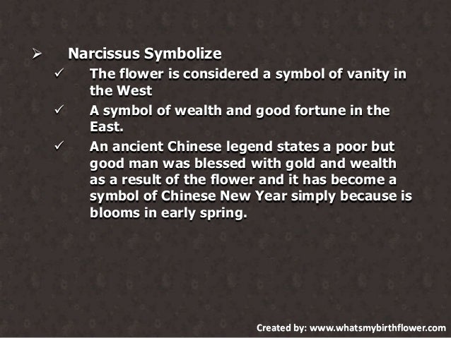 December Birth Flower December Birth Flower