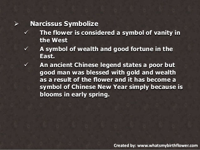 December Birth Flower