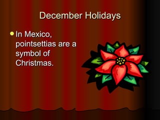December Holidays In Mexico, pointsettias are a symbol of Christmas. 