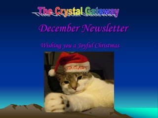 December Newsletter
Wishing you a Joyful Christmas
 