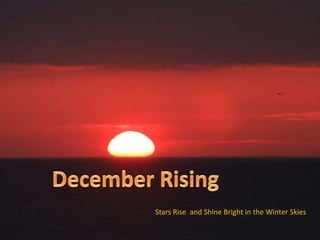 Stars Rise and Shine Bright in the Winter Skies
 