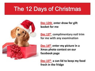 December slide show | PPTX