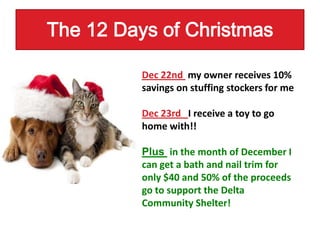 December slide show | PPTX
