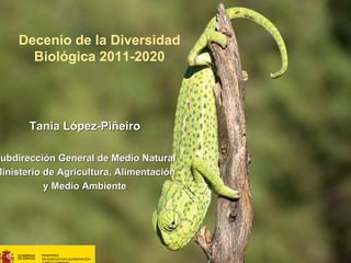 Decenio de la Diversidad
       Biológica 2011-2020




       Tania López-Piñeiro

Subdirección General de Medio Natural
 ubdirecci
Ministerio de Agricultura, Alimentación
           y Medio Ambiente
 