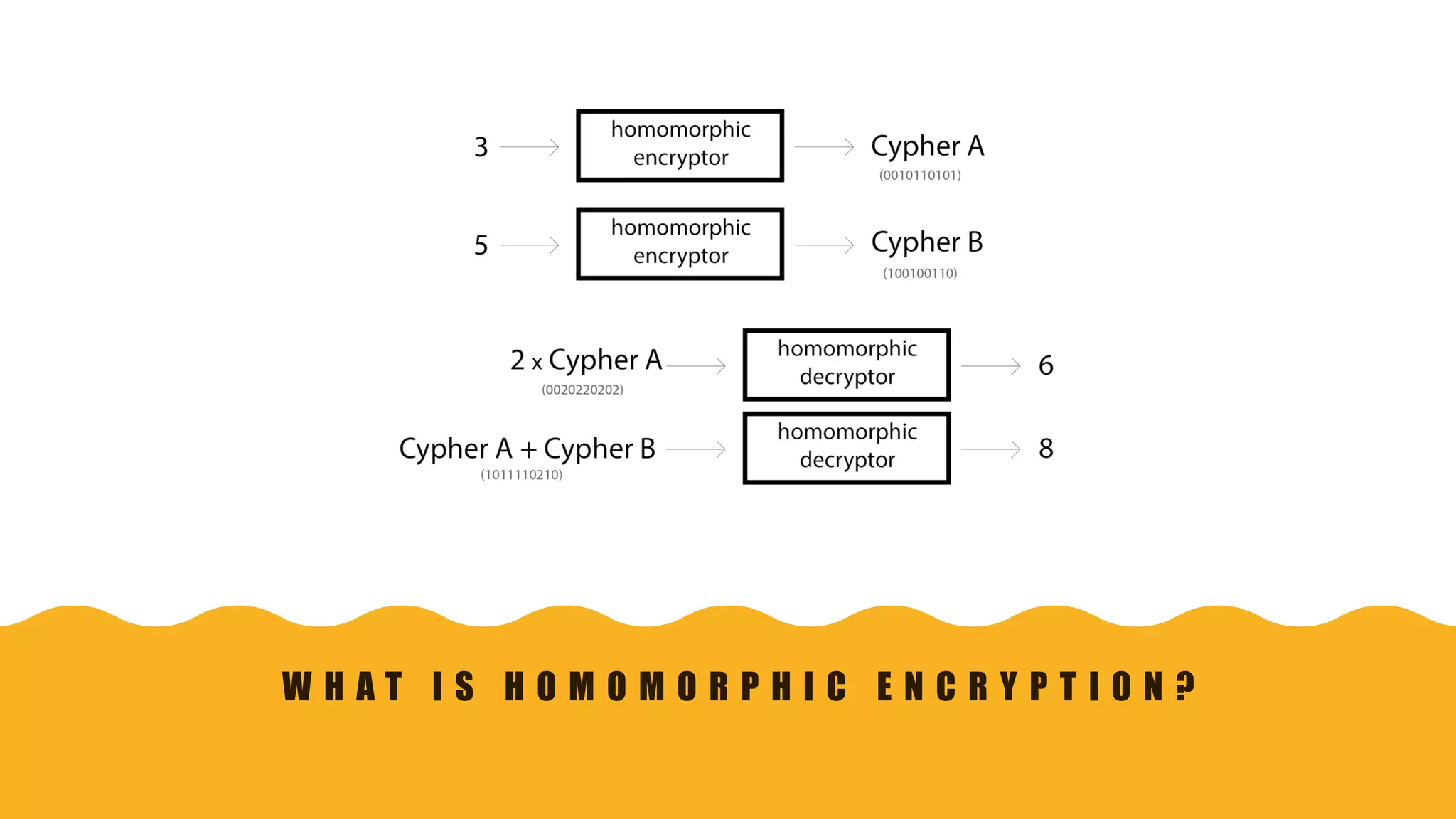 W H A T I S H O M O M O R P H I C E N C R Y P T I O N ?
 