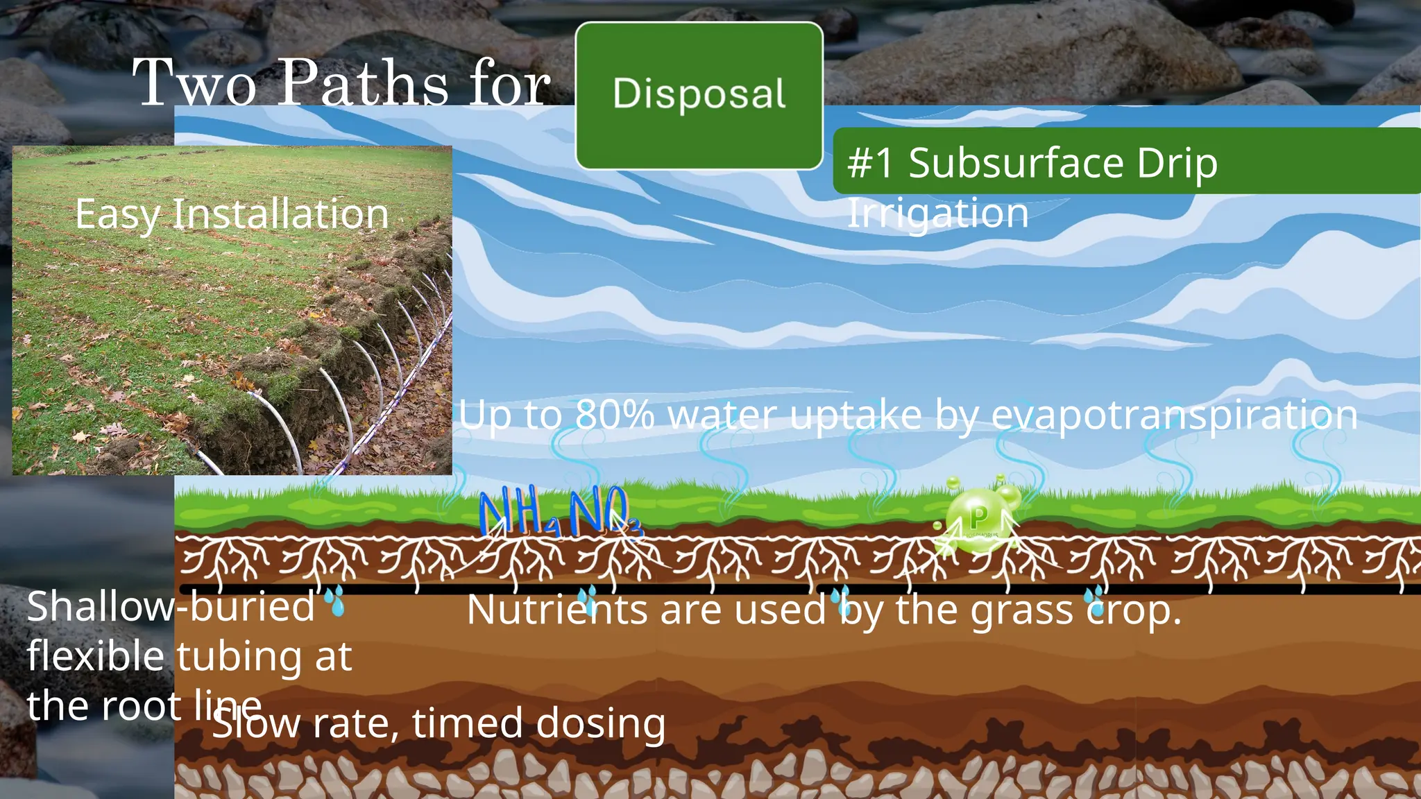Two Paths for
#1 Subsurface Drip
Irrigation
Shallow-buried
flexible tubing at
the root line
Slow rate, timed dosing
Up to 80% water uptake by evapotranspiration
Nutrients are used by the grass crop.
Easy Installation
 