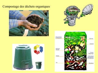 Compostage des déchets organiques 