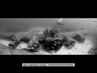 mieux comprendre le pourquoi
 