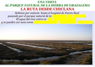 UNA VISITA
  AL PARQUE NATURAL DE LA SIERRA DE GRAZALEMA
               LA RUTA DESDE CHICLANA
           Salimos por autovía hasta el hospital de Puerto Real
      pasando por el parque natural de la                         .
            El agua del mar entra en                         .
y se pueden ver aves como                                             .
 