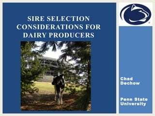 Chad
Dechow
Penn State
University
SIRE SELECTION
CONSIDERATIONS FOR
DAIRY PRODUCERS
 