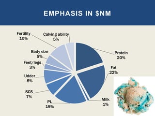 Protein
20%
Fat
22%
Milk
1%
PL
19%
SCS
7%
Udder
8%
Feet/legs
3%
Body size
5%
Fertility
10%
Calving ability
5%
EMPHASIS IN $NM
 