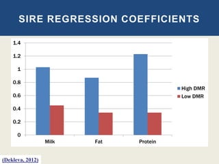 SIRE REGRESSION COEFFICIENTS
0
0.2
0.4
0.6
0.8
1
1.2
1.4
Milk Fat Protein
High DMR
Low DMR
(Dekleva, 2012)
 