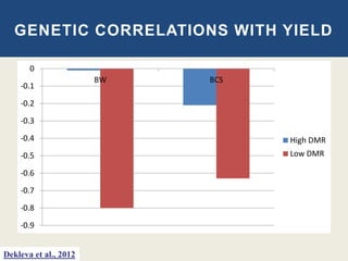 GENETIC CORRELATIONS WITH YIELD
-0.9
-0.8
-0.7
-0.6
-0.5
-0.4
-0.3
-0.2
-0.1
0
BW BCS
High DMR
Low DMR
Dekleva et al., 2012
 