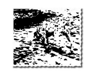 [Databeers] 18-09-2014 Decide. Pedro Concejero.