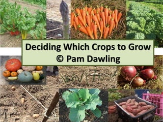 Deciding Which Crops to Grow
© Pam Dawling
 