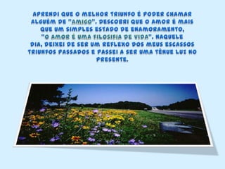 Aprendi que o melhor triunfo é poder chamar alguém de "amigo". Descobri que o amor é mais que um simples estado de enamoramento, "o amor é uma filosifia de vida". Naquele dia, deixei de ser um reflexo dos meus escassos triunfos passados e passei a ser uma tênue luz no presente.
