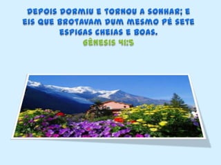 Depois dormiu e tornou a sonhar; e eis que brotavam dum mesmo pé sete espigas cheias e boas. Gênesis 41:5