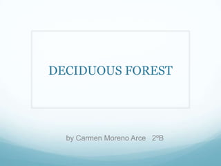 DECIDUOUS FOREST




  by Carmen Moreno Arce 2ºB
 