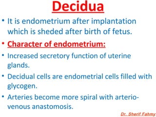 Decidua
• It is endometrium after implantation
which is sheded after birth of fetus.
• Character of endometrium:
• Increased secretory function of uterine
glands.
• Decidual cells are endometrial cells filled with
glycogen.
• Arteries become more spiral with arterio-
venous anastomosis.
Dr. Sherif Fahmy
 