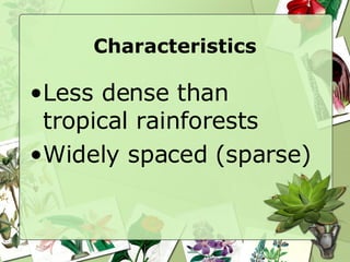 Characteristics Less dense than tropical rainforests Widely spaced (sparse) 