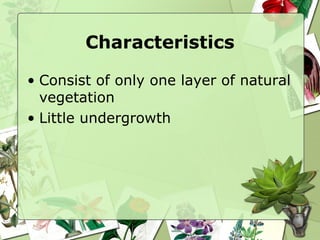 Characteristics Consist of only one layer of natural vegetation Little undergrowth 