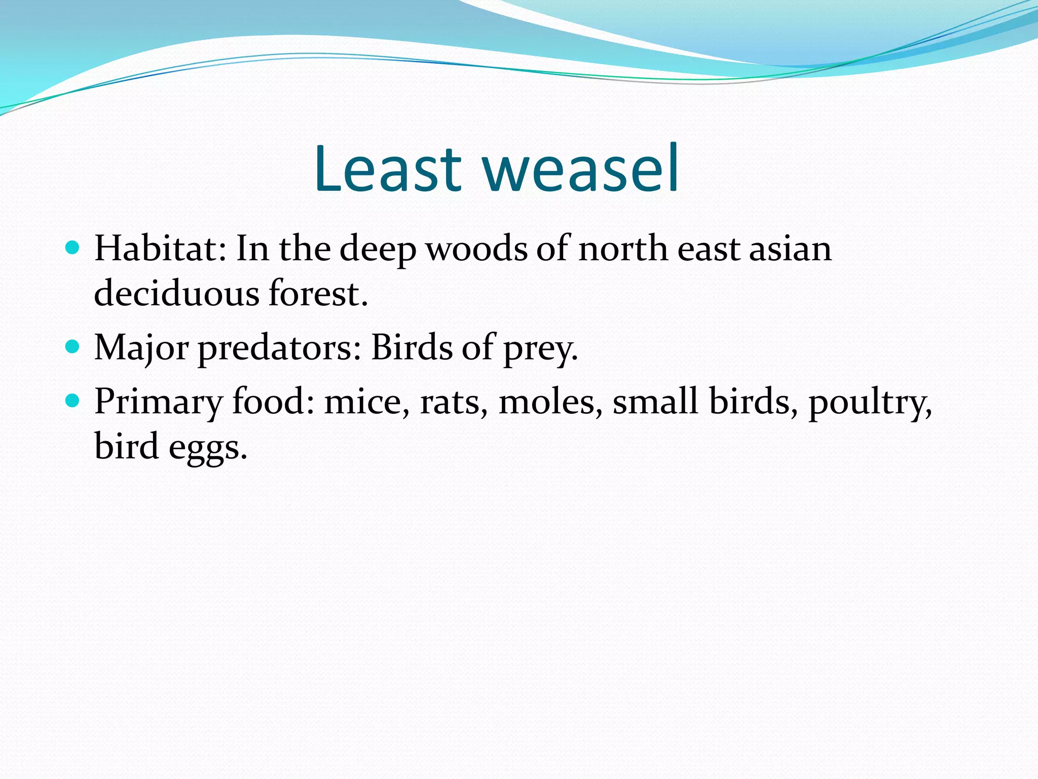 Deciduous Forest Susquenita PPT Free Download Deciduous forest susquenita ppt free download