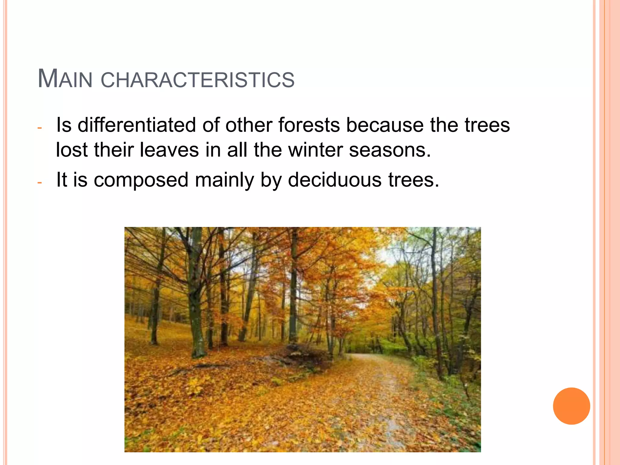 Deciduous forest | PPTX