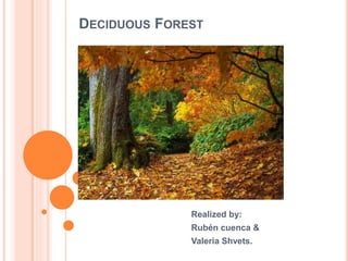 DECIDUOUS FOREST
Realized by:
Rubén cuenca &
Valeria Shvets.
 