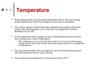 Temperature Warm spring months ease the plants and animals back to life, encouraging animal reproduction with the development of new leaves and plants.  The warmer summer months allow these animals long enough to raise their young, often allowing them to set off on their own prepared to fend for themselves by the fall.  As the temperature starts to drop, the trees of the deciduous forest lose their leaves and go into a state of hibernation.  This temperature cue is critical for the animals as well, some of whom begin storing food for the winter months while others gorge themselves in preparation for hibernation. The long winter months mean a struggle for survival during the long period when the deciduous forest is snow-covered.  The average annual temperature in a deciduous forest is 50° F  