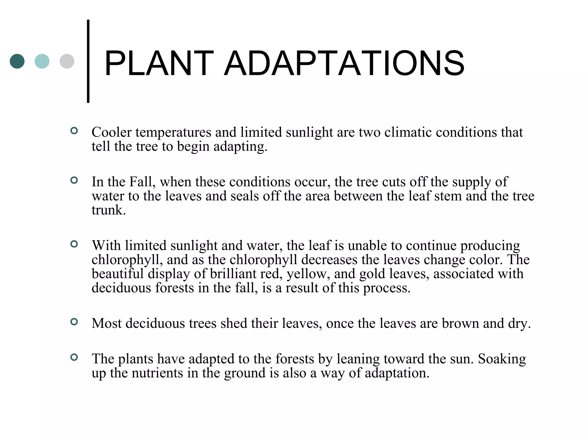 Tree Adaptining Deciduous forest biotic and abiotic | PPT
