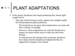 PLANT ADAPTATIONS
   In the spring, deciduous trees begin producing thin, broad, light-
    weight leaves.
      This type of leaf structure easily captures the sunlight needed
        for food production (photosynthesis).
          • The broad leaves are great when temperatures are warm and
            there is plenty of sunlight.
          • However, when temperatures are cold, the broad leaves
            expose too much surface area to water loss and tissue
            damage.
          • To help prevent this damage from occurring, deciduous
            trees make internal and physical adaptations that are
            triggered by changes in the climate.
 