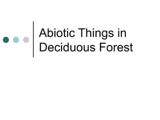 Abiotic Things in
Deciduous Forest
 
