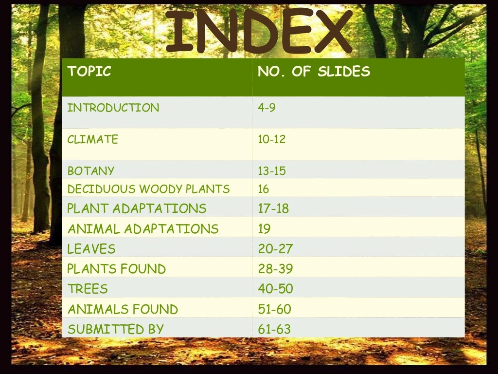 Deciduous forest vegetation....