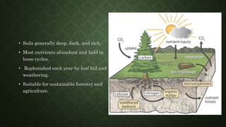 • Soils generally deep, dark, and rich.
• Most nutrients abundant and held in
loose cycles.
• Replenished each year by leaf fall and
weathering.
• Suitable for sustainable forestry and
agriculture.
 