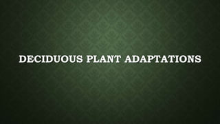 DECIDUOUS PLANT ADAPTATIONS
 