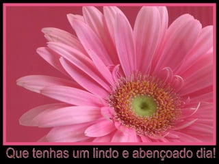 Que tenhas um lindo e abençoado dia! 